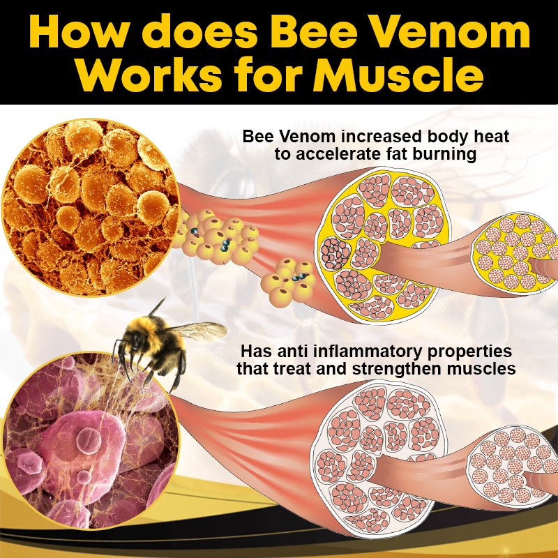 Bee Venom ManSculpting Essential Oil Y