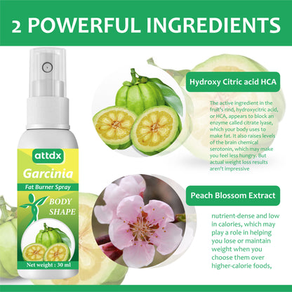 Garcinia FatBurner Spray