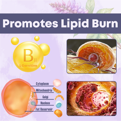 LipidBurn Pueraria Flower Body Spray