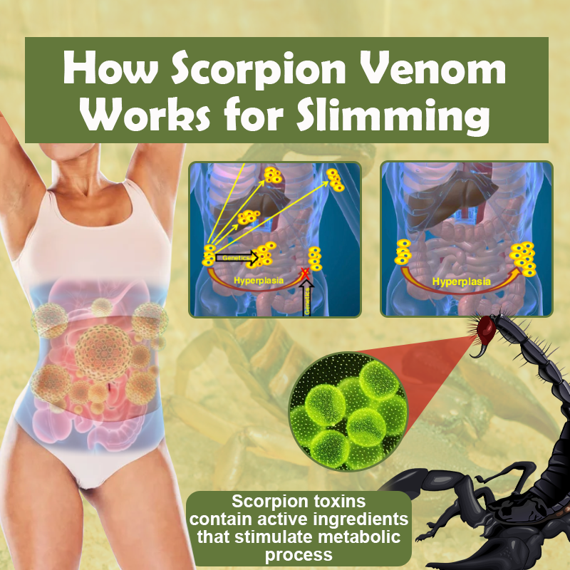 Scorpion Venom SlimmingPatch