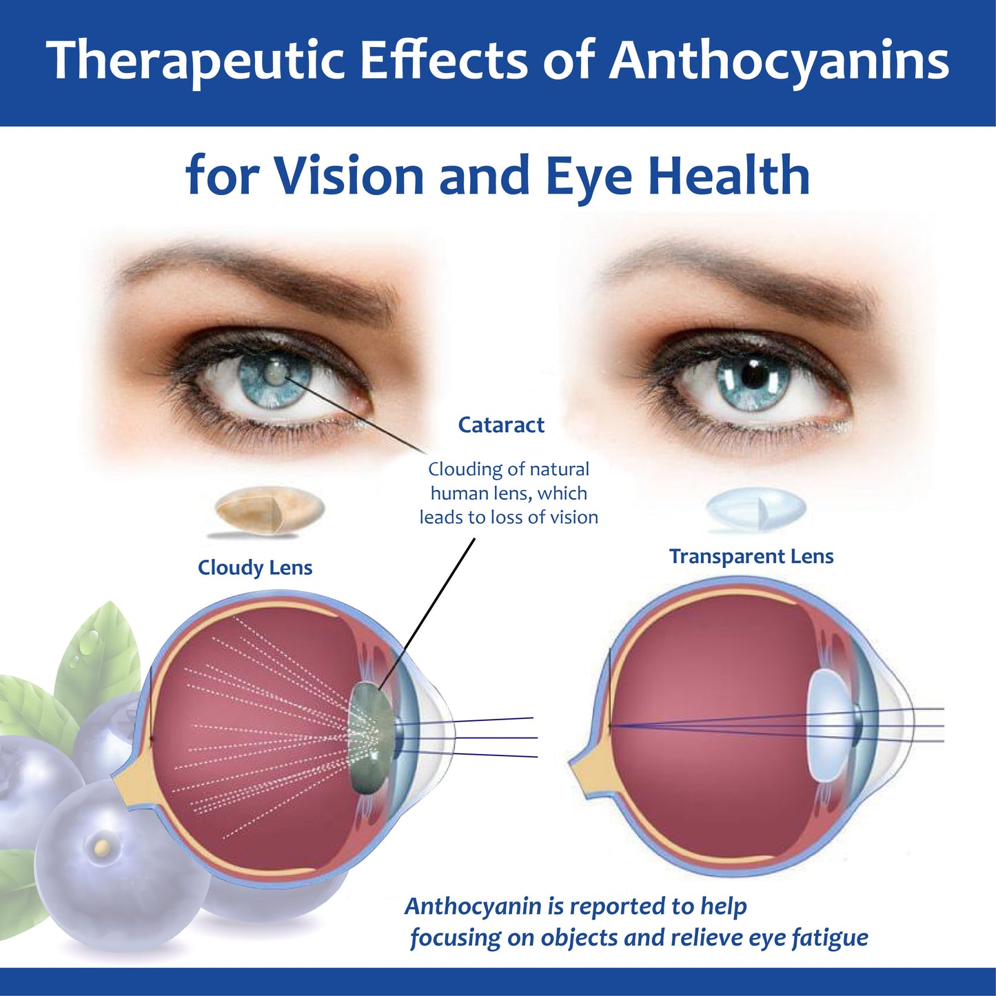 Clear Sight Treatment Reversal Eye Drops