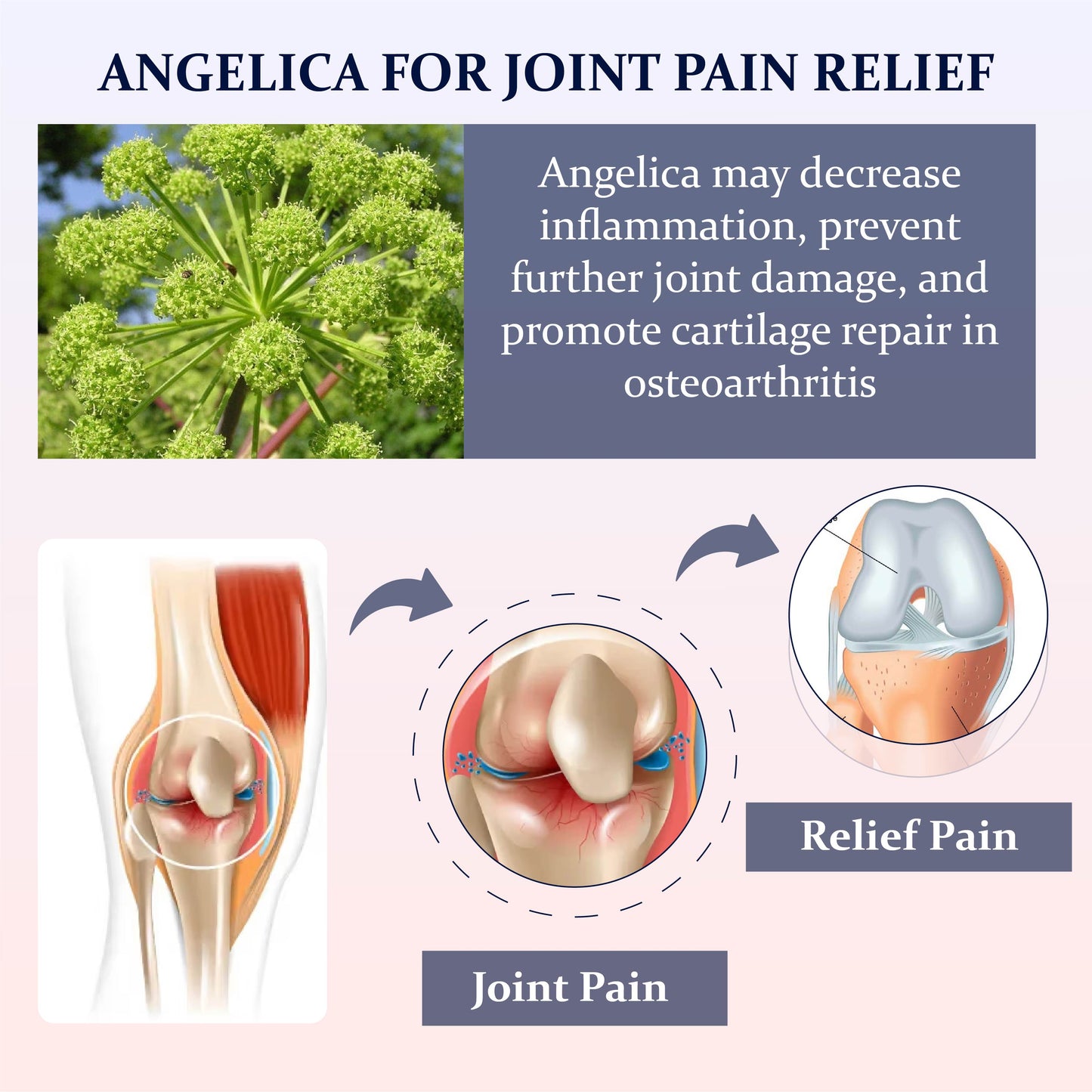 Anti-Inflammation JointRelief Spray