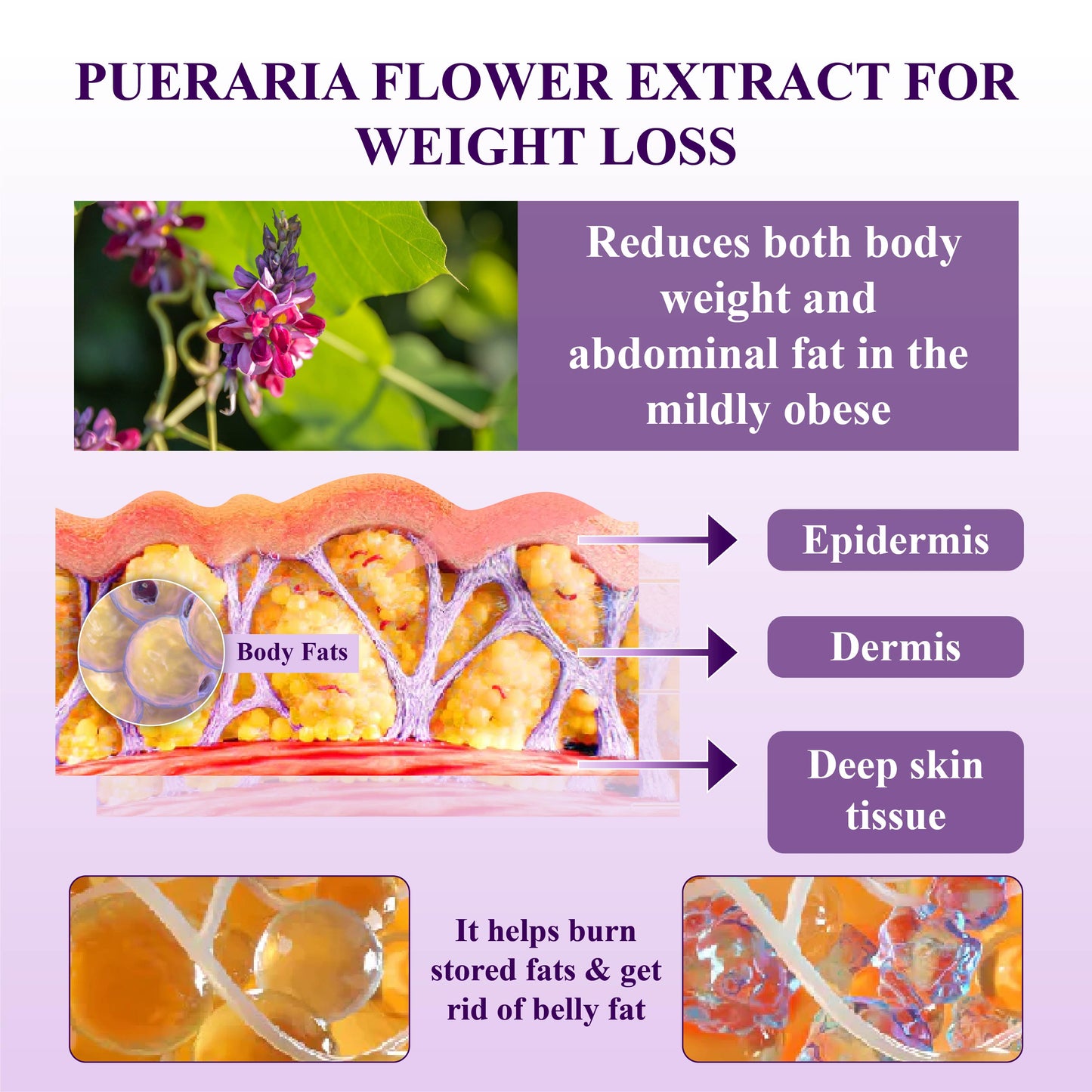 ATTDX™ Pueraria Flower UltraBoost SlimmingSpray