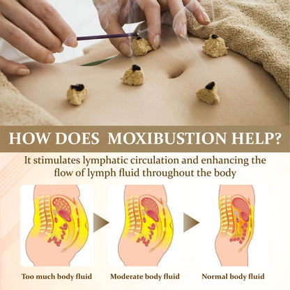 AcupuncturePro Suspended Moxa Box